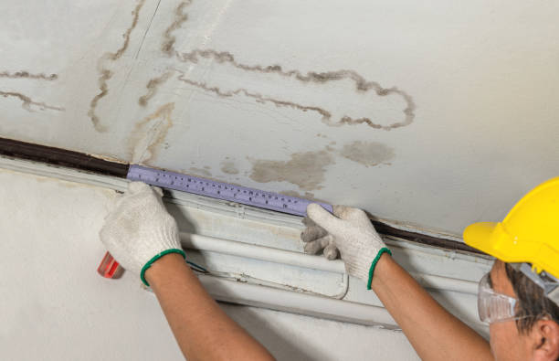 Reliable Water Damage contractor in Lucerne, CO by Water Damage Irwin